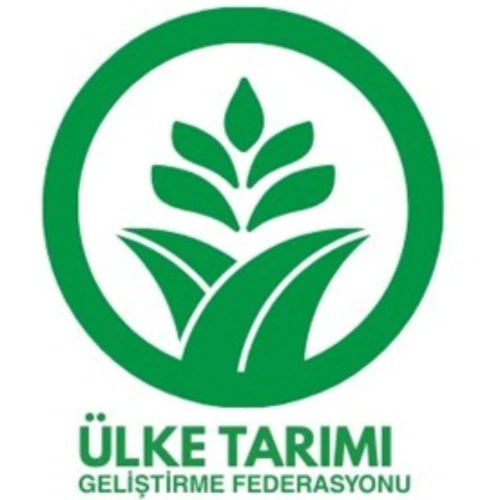 Logo - Fatma DEMİRAY